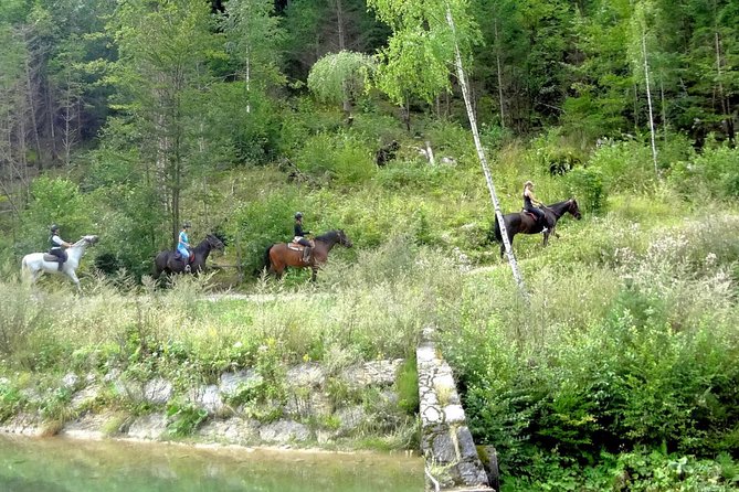 Horse Riding in Bled - Gear up and learn fast in the riding arena