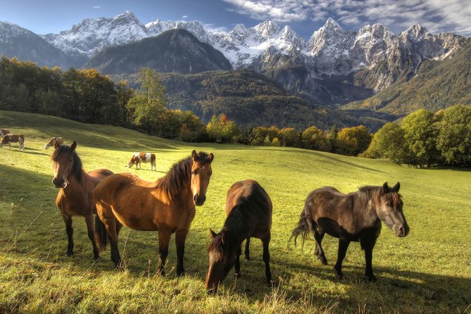 Horse Riding in Bled - Triglav National Park scenery in a 3-hour window