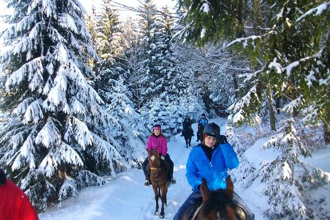 Horse Riding in Bled - How your guide chooses the trail around Lake Bled