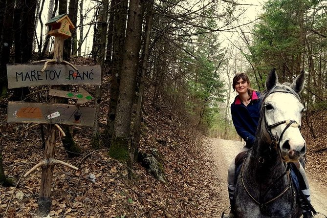 Horseback Riding In Bled - Key Highlights That Make This Ride Worth Your Time