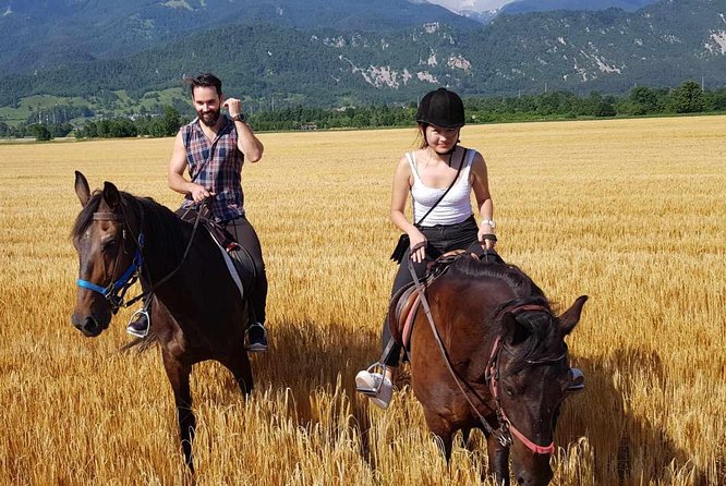 Horseback Riding In Bled - Why This Horseback Ride Works in Bled