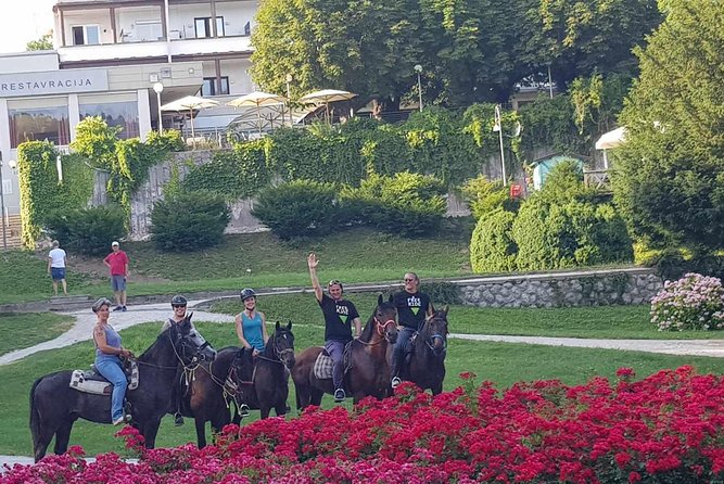 Horseback Riding In Bled - Horses and Guides: How Comfort Gets Managed