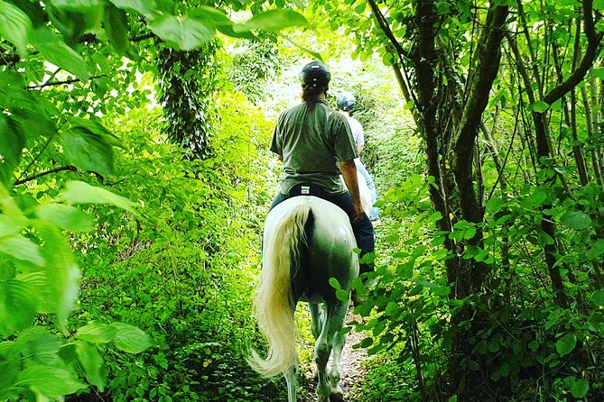 Horseback Riding In Bled - What to Bring for a Comfortable Saddle Day