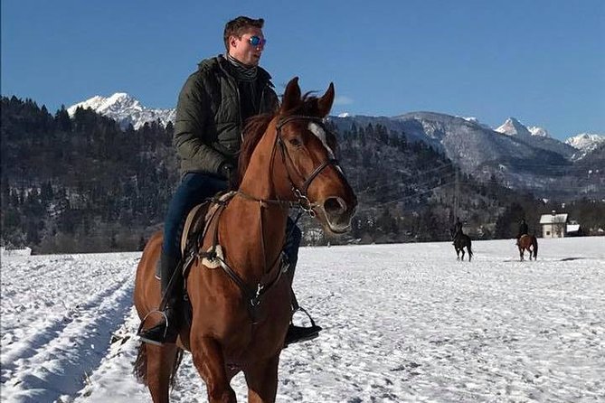 Horseback Riding In Bled - The 2 Hours You Actually Get on Horseback