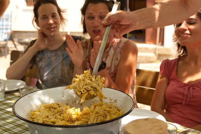 Istria - Truffles: Hunting & Cooking & Tasting, Slovenia - In the forest with the hunter and trained dog