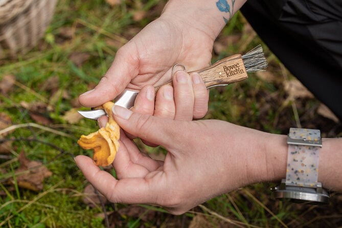 It Smells Like Mushrooms - Snacks and Reset Time Before Cooking