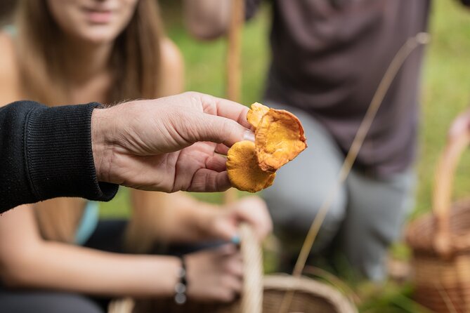 It Smells Like Mushrooms - Back at Bojan and Anja’s: Cleaning, Preparing, and Storing