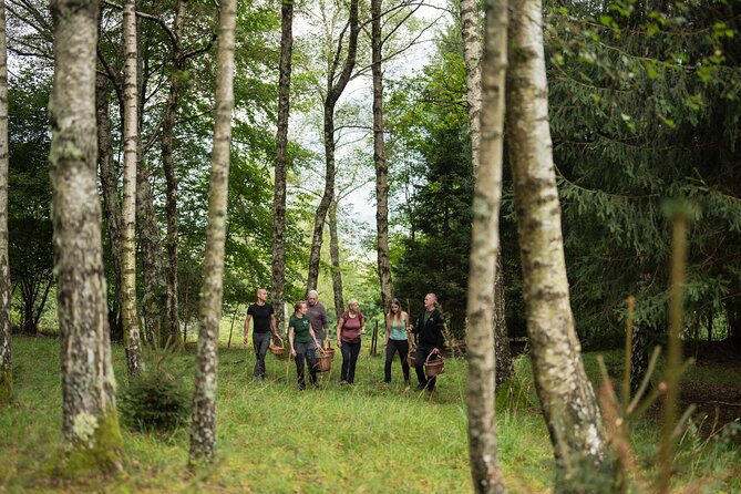 It Smells Like Mushrooms - Into the Forest: How Mushroom Foraging Works Here