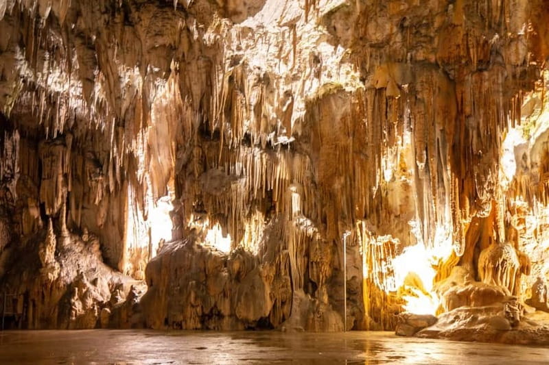 Koper/Trieste: Postojna Cave & Predjama Castle Tour & Ticket - From Koper Area to Two World-Class Stops in One Half Day