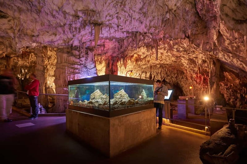 Koper/Trieste: Postojna Cave & Predjama Castle Tour & Ticket - Break Time and Shopping: Use the 30 Minutes Smartly