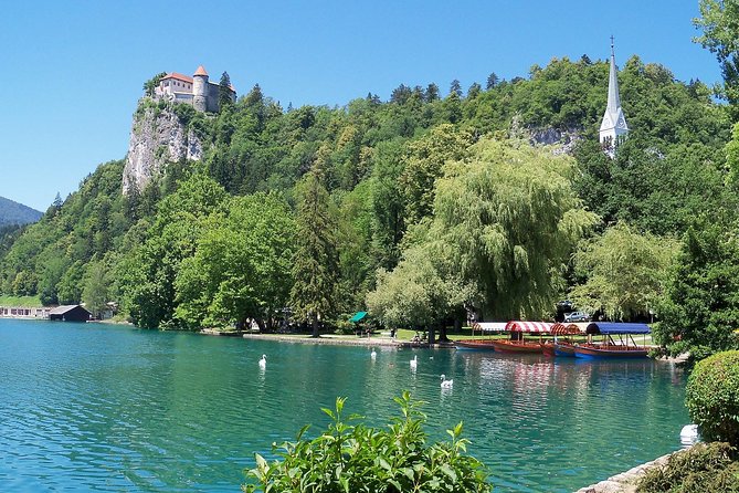 Lake Bled Half Day Excursion from Ljubljana - Kremšnita break: how to handle the cream cake stop like a pro
