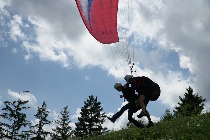 Lake Bled Tandem Paragliding - Above the Sights: Bled Island, Blejski Grad, and Ojstrica from the Air