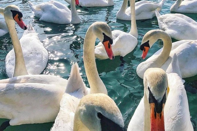 Lake Bled Tour from Ljubljana - Optional Stop 3: The Pletna Boat to the Island Church and the Wishing Bell Moment