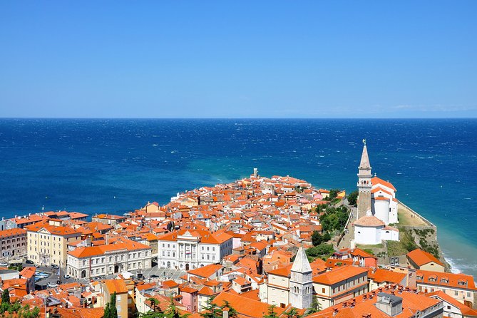 Lipica stud farm and Piran Tour from Ljubljana - Key things to know before you go