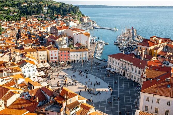 Lipica stud farm and Piran Tour from Ljubljana - Pickup, Timing, and How to Avoid First-Day Friction