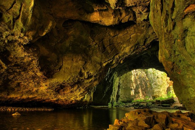 Lipica Stud Farm and Skocjan Caves from Koper - Key things to know before you go