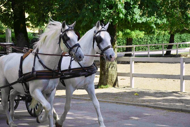 Lipica Stud Farm and Skocjan Caves from Koper - Škocjan Caves Regional Park: why the outside part still counts
