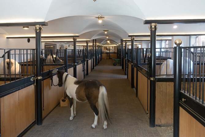 Lipica Stud Farm and Skocjan Caves from Koper - Price and value from KoperTrips: what you’re paying for