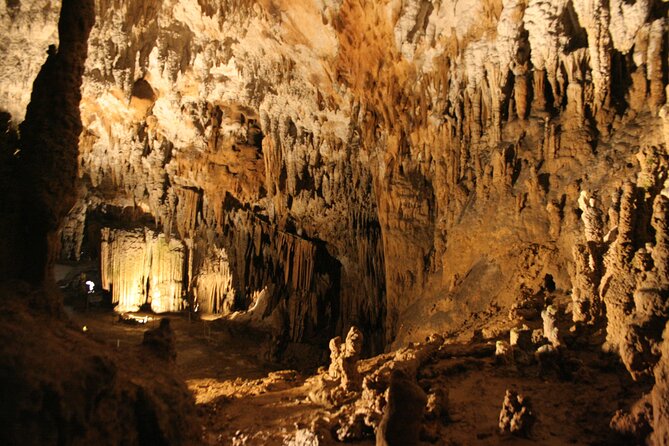 Lipica Stud Farm and Skocjan Caves from Koper - Should you book this tour from Koper?