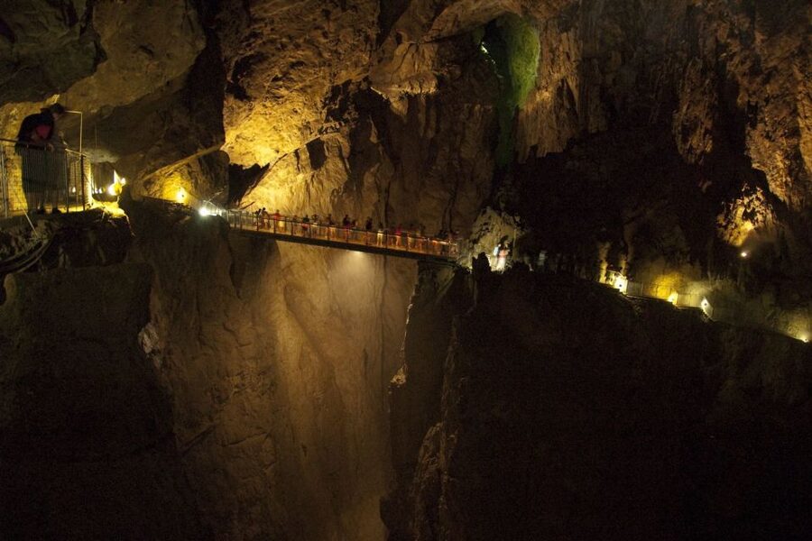 Lipica Stud Farm and Škocjan Caves from Trieste - Key highlights to know before you go