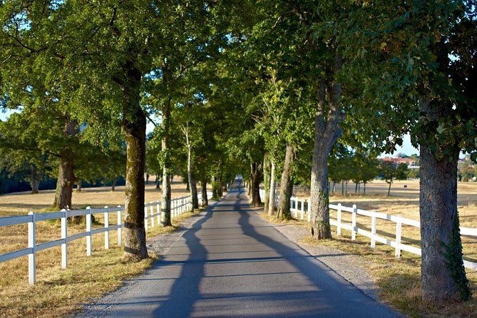 Lipica Stud Farm- Private Experience from Koper - Who this tour fits best
