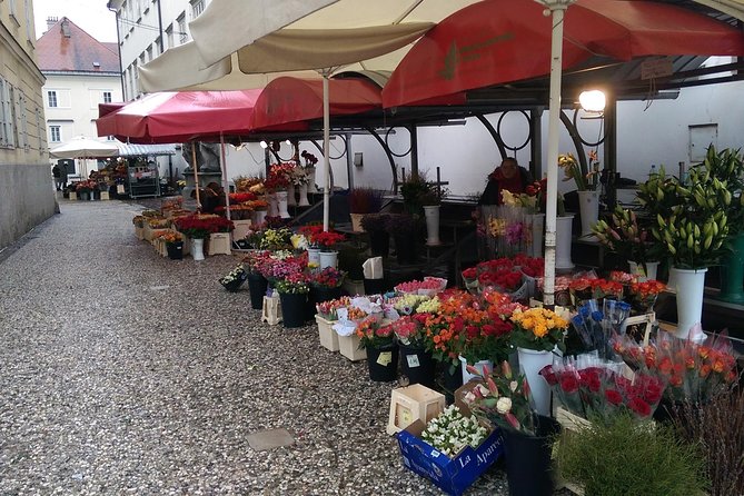 Ljubljana City Tour Including Ljubljana Castle - Price and value: why $107.41 can make sense for a short visit
