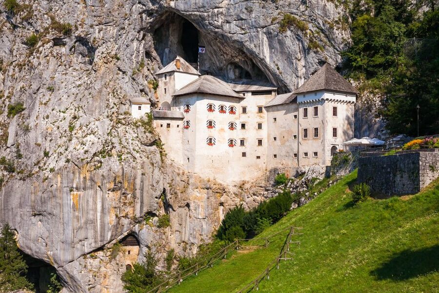 Ljubljana: Karst & Coast Full-Day Trip - Lipica for the Lipizzaners: Seeing the Breed in Their Home Environment