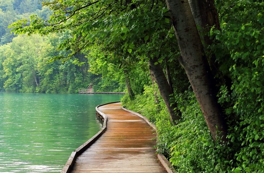 Ljubljana: Lake Bled, Postojna Cave, and Predjama Day Tour - What you pay: tour price vs ticket reality