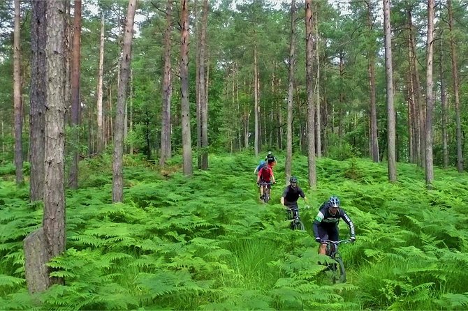 Ljubljana MTB Capital tour (e-bike enduro/all mountain) - After the trails, Ljubljana Old Town ride for main sights