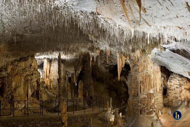 Ljubljana: Postojna Cave and Predjama Castle Tour - Why This Ljubljana Combo Tour Makes Sense