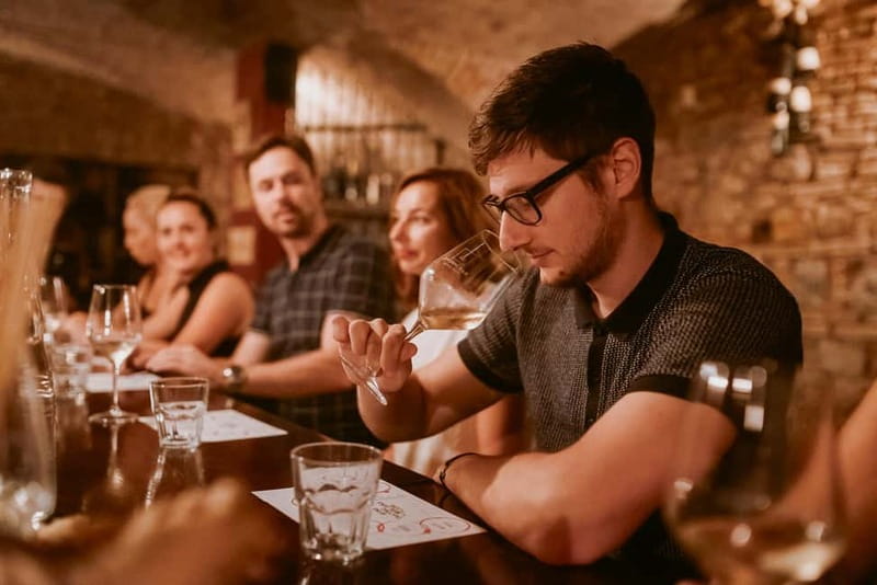 Ljubljana: Wine Tasting Experience with Appetizers - Price and Value: Is $64 a Good Deal for Seven Wines and Appetizers?