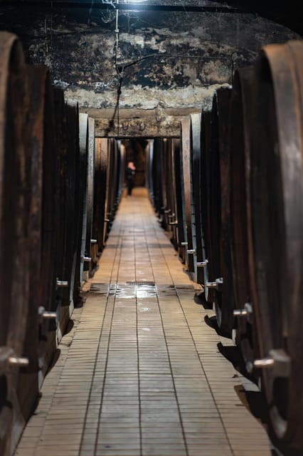 Maribor: Vinag Wine Cellar Tour with Wine tasting and snacks - Entering the Vinag cellar from Trg svobode 3