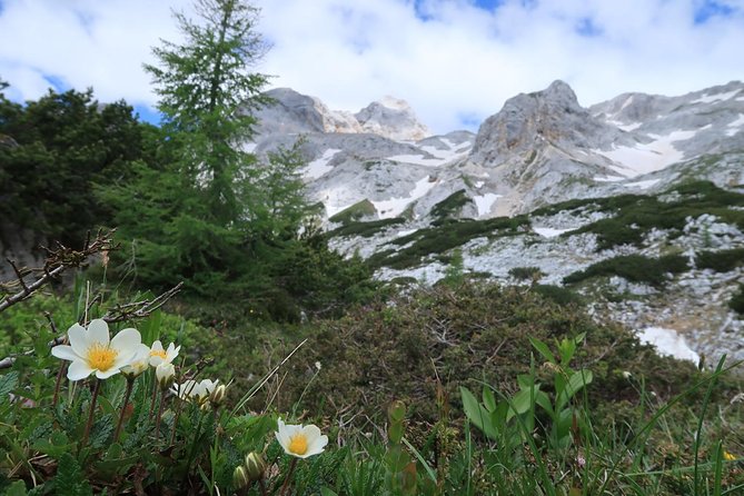 Mighty Mount Triglav Climb-summer Special-join Group - Who should book this Triglav climb, and who should think twice