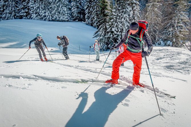 One Day Ski Touring Workshop - Gear setup and why the “avalanche kit” part is not optional
