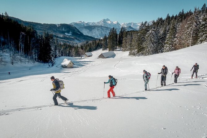 One Day Ski Touring Workshop - Ascent and descent coaching across changing winter conditions