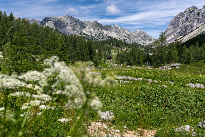Panoramic hike in Julian Alps - Getting to Pokljuka: the Bled van, the pickup area, and the 8:00 start