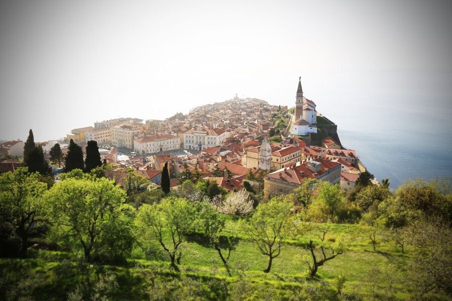 Panoramic Piran and Salt Pans: E-Bike Boutique Tour - Practical Notes Before You Book (So the Ride Feels Easy)