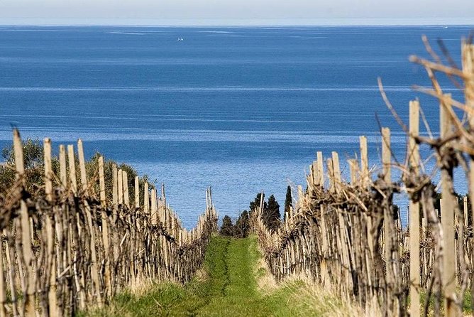 Piran and Scenic Slovenian Coast-Private Experience from Koper - Strunjan Nature Park salt fields: wind in your face, sea in your eyes