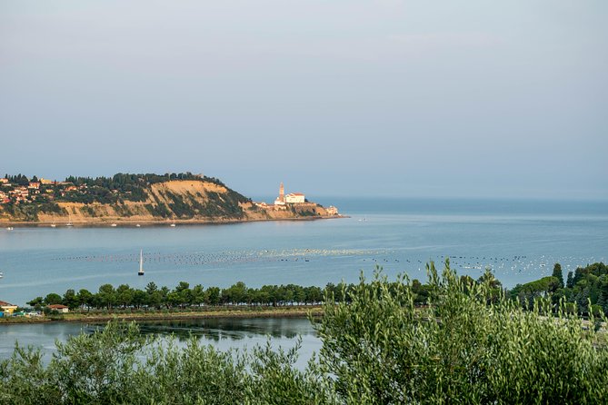 Piran Old Town Walking Tour - Why this Piran Old Town walk makes sense for limited time