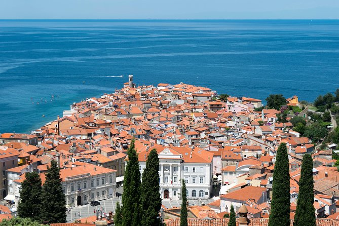 Piran Old Town Walking Tour - Price, value, and what the $90.31 per person gets you