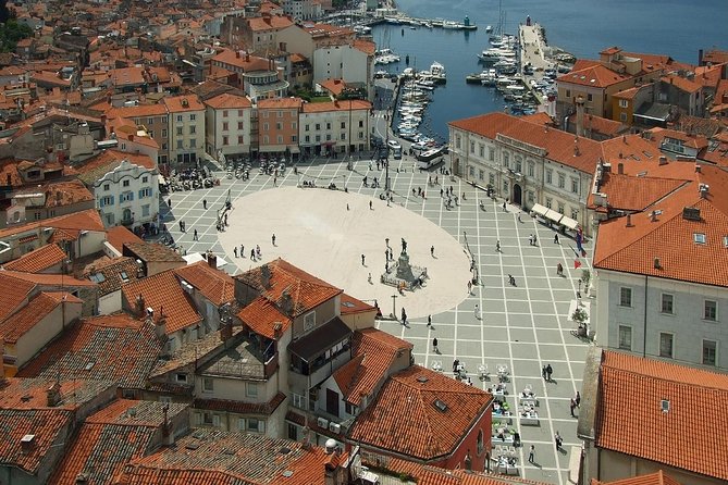 Piran & Panoramic Slovenian Coast - Shore Excursion from Koper - Getting There Smoothly: Port and Hotel Pickup That Keeps the Day on Track