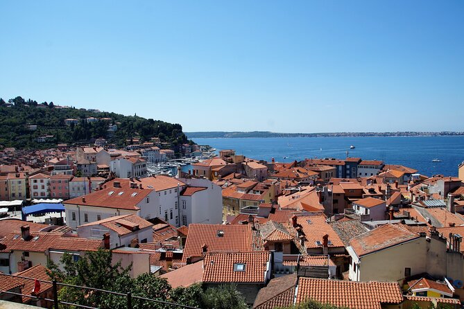 Piran & Panoramic Slovenian Coast - Small Group Tour from Koper - Food and Wine Tasting: How to Make It Feel Like a Local Break