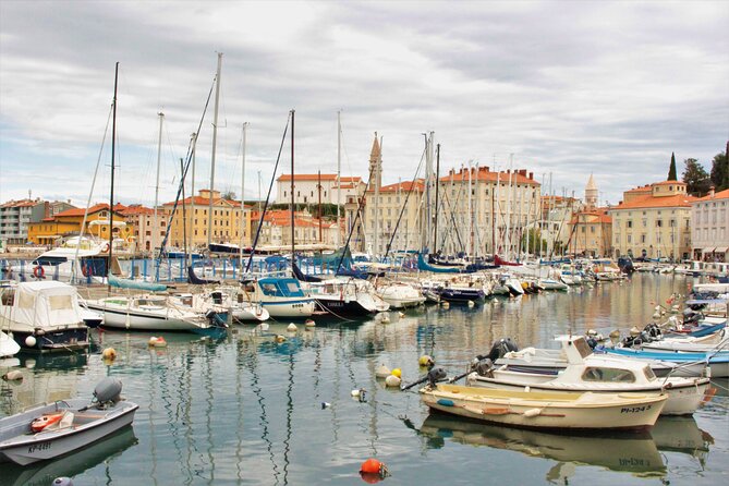 Piran & Panoramic Slovenian Coast - Small Group Tour from Koper - Timing, Photo Opportunities, and the Pace You’ll Actually Feel