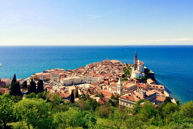 Piran Walking Tour with Local Wine and Food Tasting - Price and value: when this is a bargain, and when it isn’t