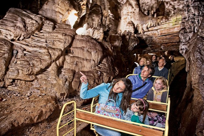 Postojna Cave and Castle Small-Group Day trip from Ljubljana - Postojna Cave: Electric Train Magic, Then a Walk With Cold in the Equation