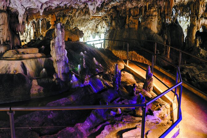 Postojna Cave and Predjama Castle - Entrance Tickets Included - Key things that make this tour worth your time
