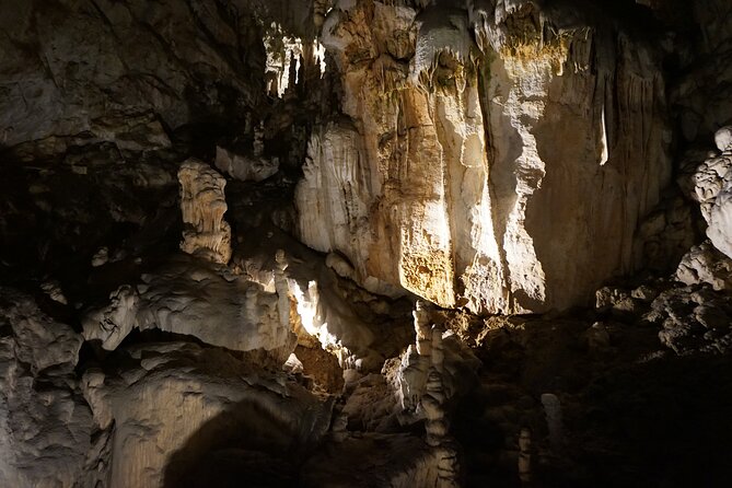 Postojna Cave and Predjama Castle Tour from Ljubljana - Price and value check: $84.94 plus tickets you should budget for
