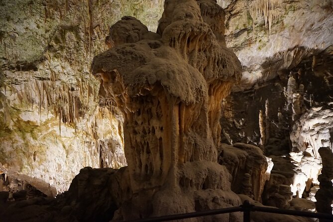 Postojna Cave and Predjama Castle Tour from Ljubljana - The schedule feel: what to expect in the morning