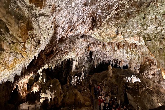 Postojna Cave Day Trip From Ljubljana - A Smooth Day Out: What This Trip Really Covers