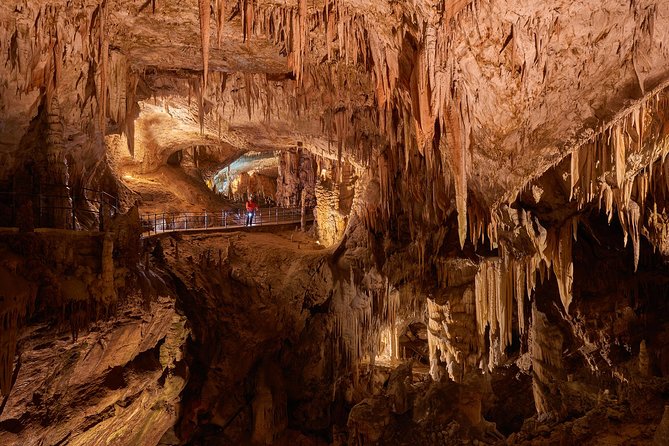 Postojna Cave & Predjama Castle from Koper - Postojna Cave in real time: what the guided walk feels like